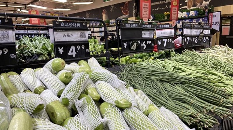 选择综合商贸的那些事儿：一份贴心指南